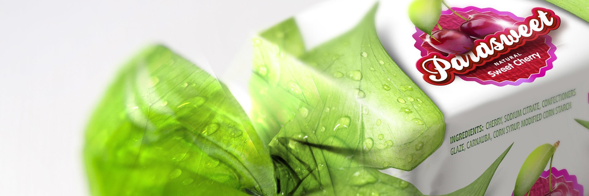 Nowax™ – sustainable packaging solutions from nature